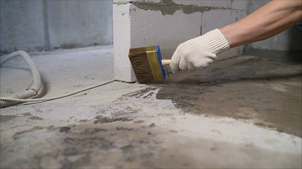 SJ Waterproofing Pros Waterproofing coverage map for Bumpus Mills, TN and surrounding area